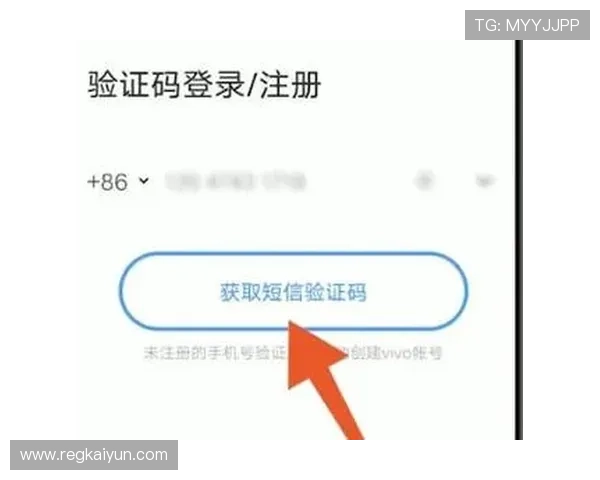 开云官网官方登录界面详细解析，帮助用户轻松顺利完成登录手续
