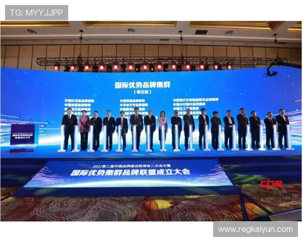 开云集团旗下品牌图详细介绍品牌历史沿革与未来发展方向,助力用户全面了解品牌战略